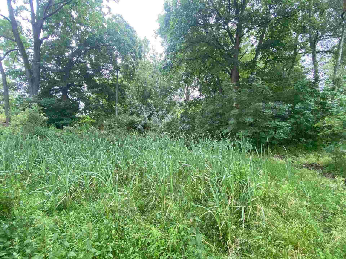 Prodej pozemku 1 993 m² – fotografie 3