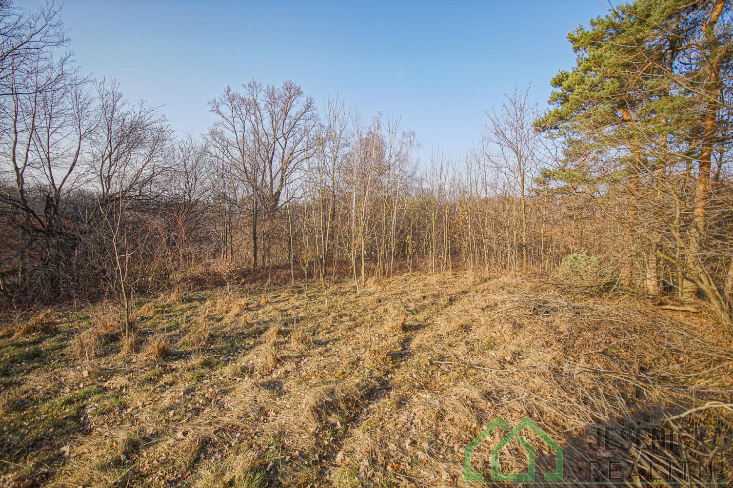 Prodej stavebního pozemku 15 640 m² – fotografie 4