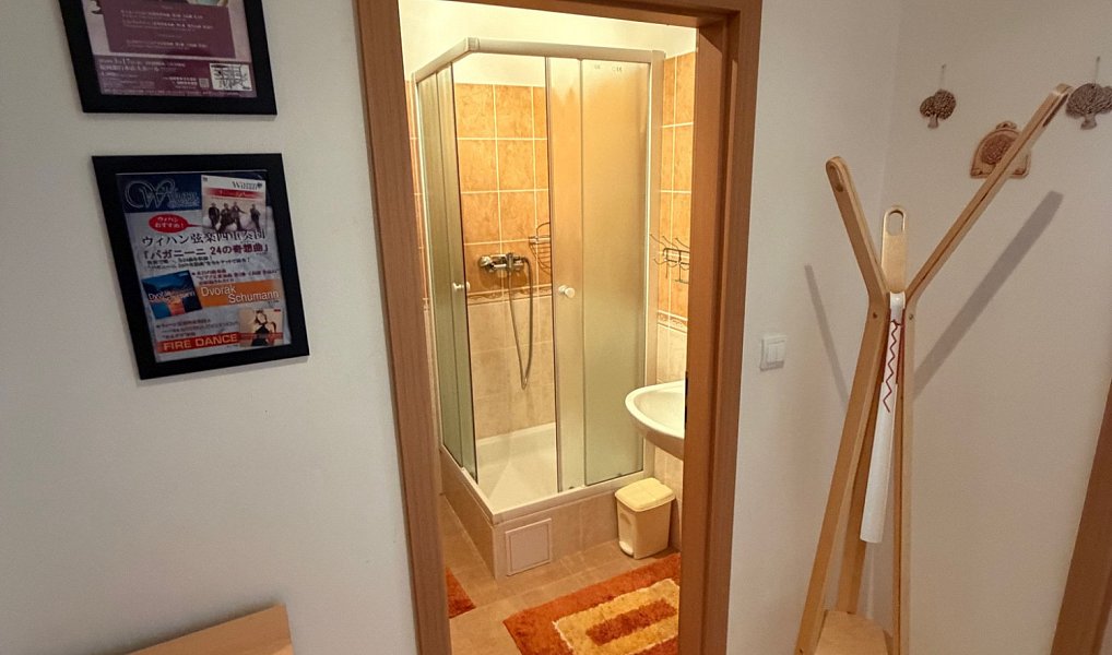 Prodej bytu 1+kk 27 m², Šestajovice – náhled fotky 3
