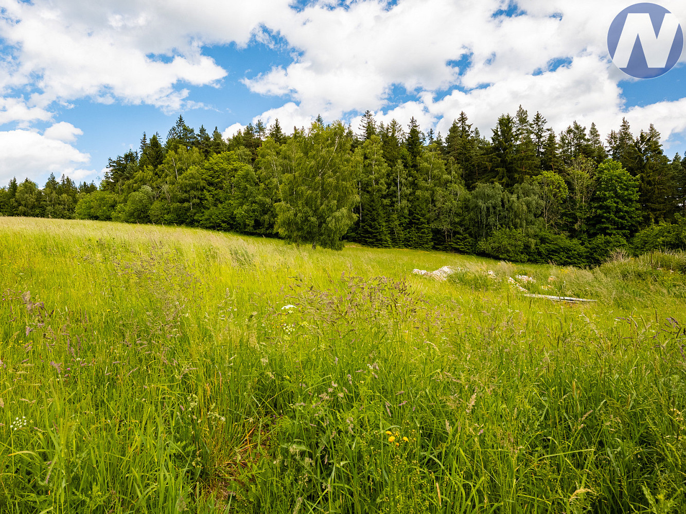 Prodej stavebního pozemku 2 650 m² – další