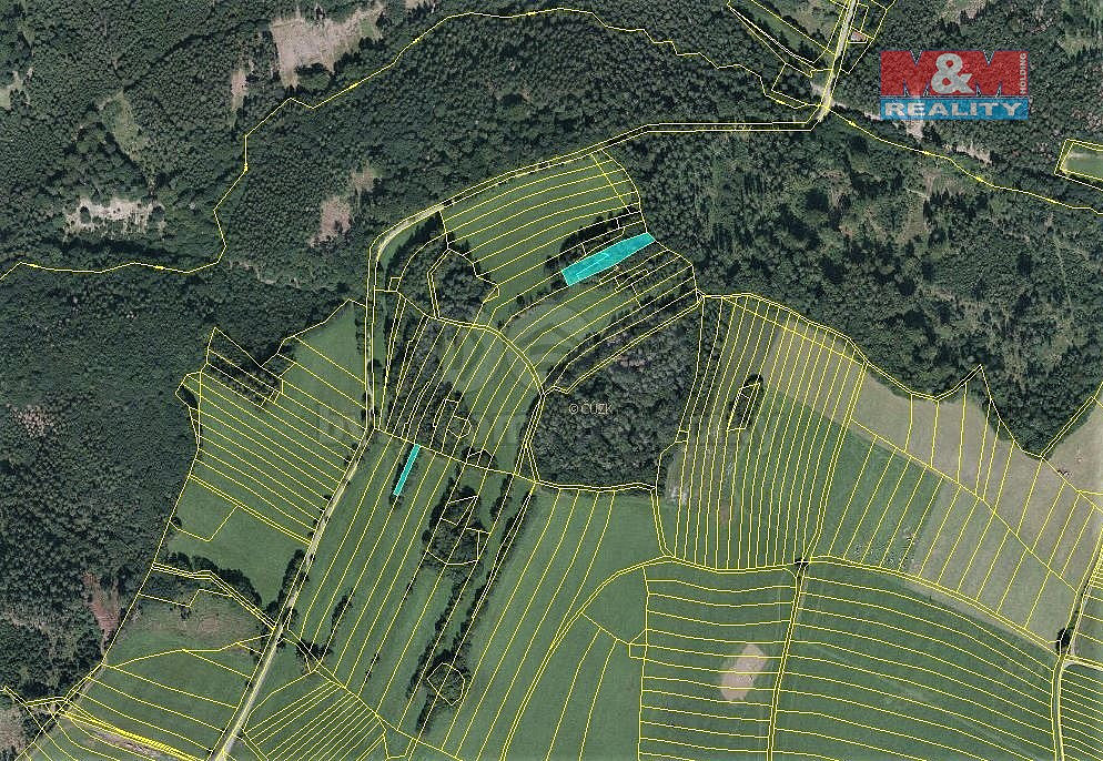 Prodej lesa 420 m² – fotografie 3