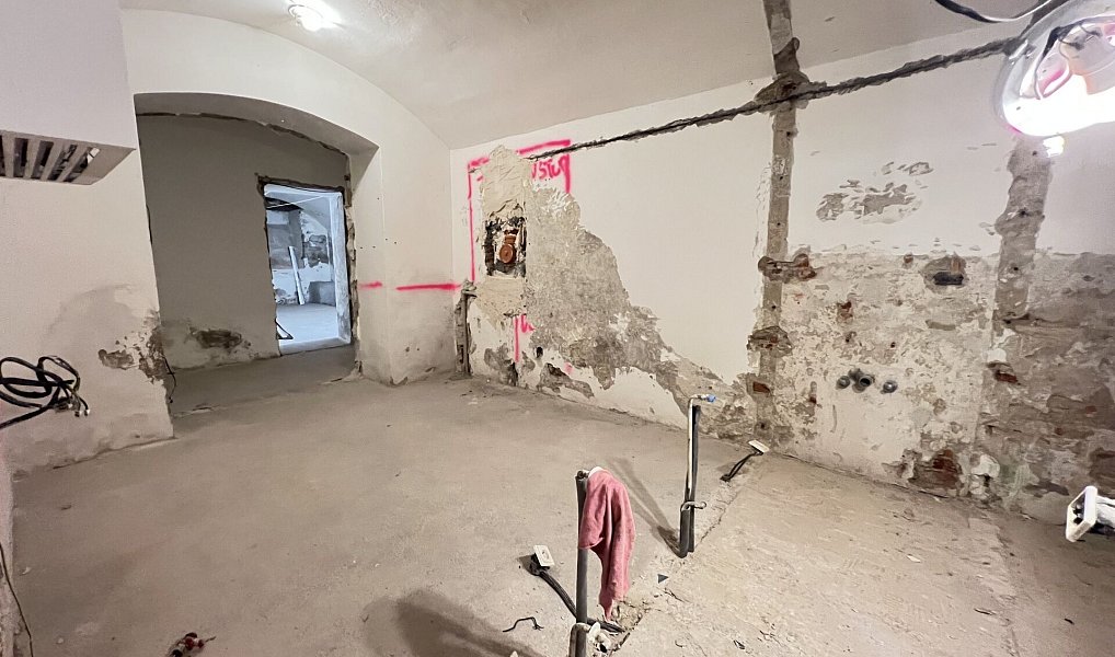 Prodej komerčního objektu (jiného typu) 235 m², Praha – náhled fotky 16