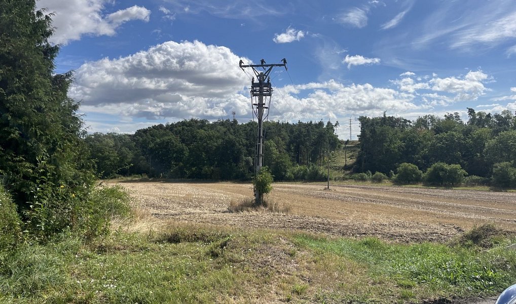 Prodej pozemku 17 300 m², Hrdlív, okres Kladno