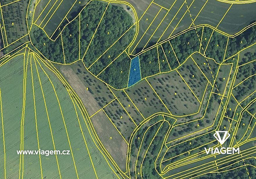 Prodej pole 791 m² – fotografie 3