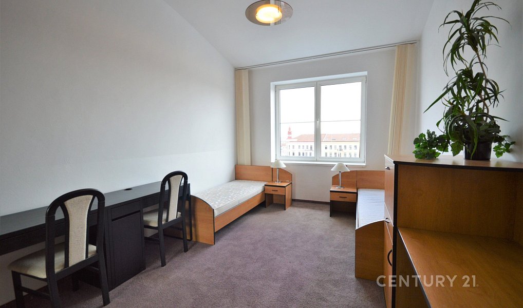 Prodej bytu 6+kk 270 m², Brno – náhled fotky 7