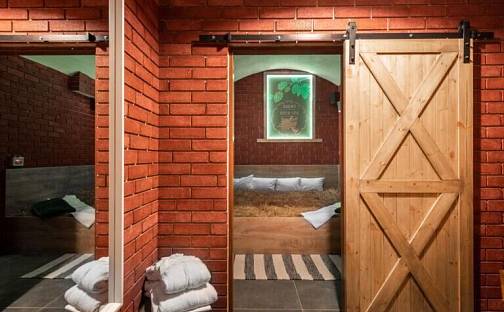 Prodej obchodních prostor 333 m², Zborovská, Praha 5 - Malá Strana