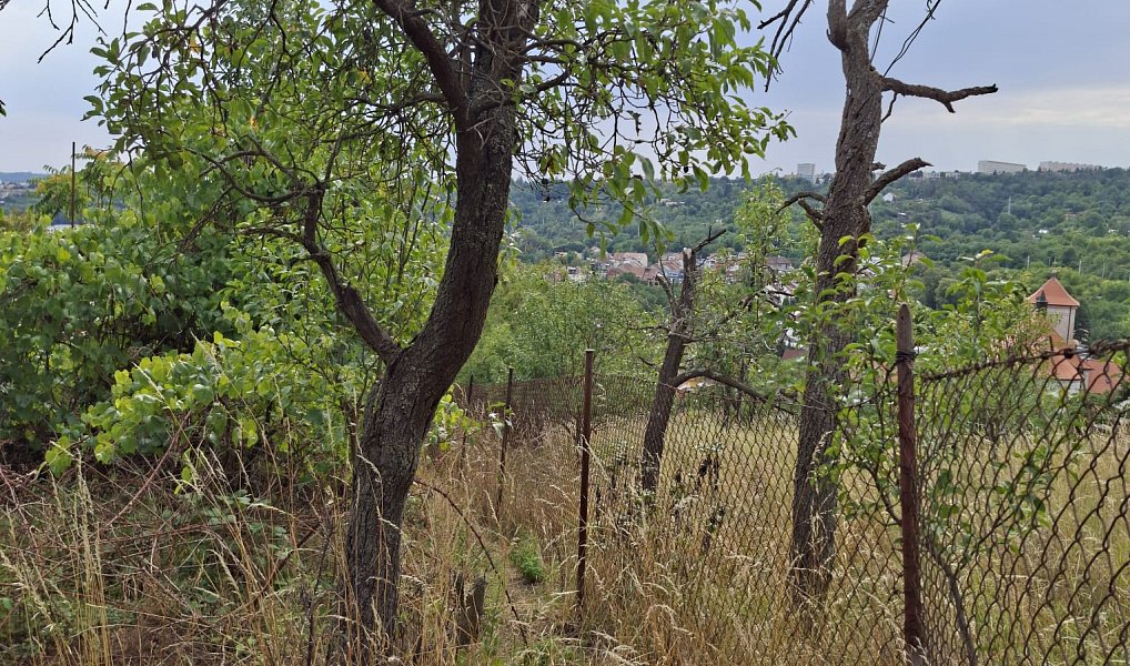Prodej chaty/chalupy 35 m² s pozemkem 1 992 m², Brno – náhled fotky 6