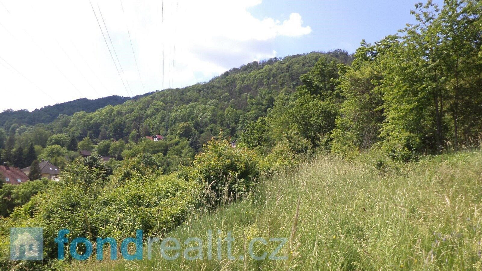 Prodej pole 1 346 m² – fotografie 3