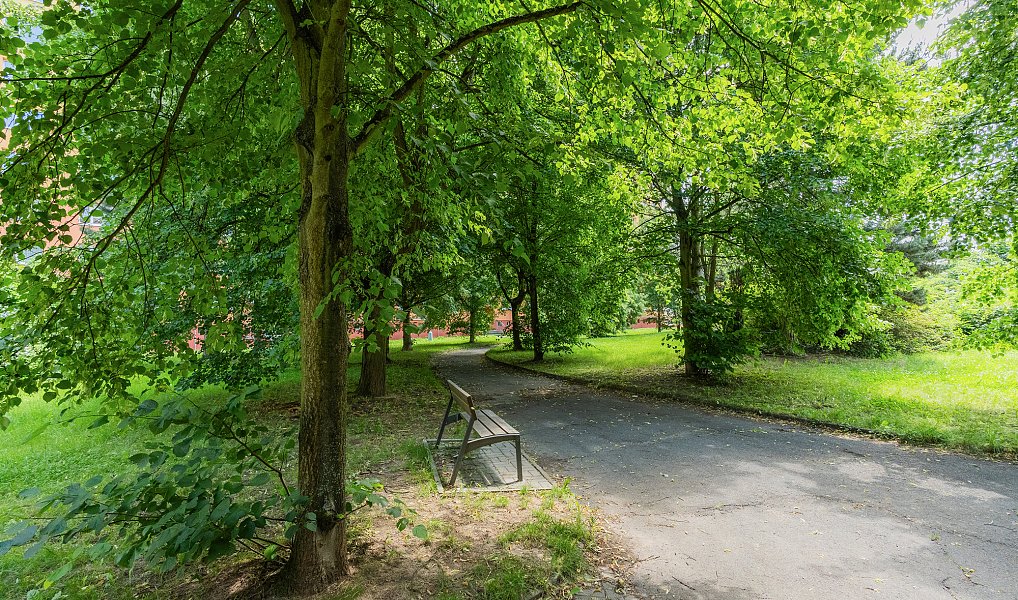 Prodej bytu 3+1 72 m², Plzeň – náhled fotky 14