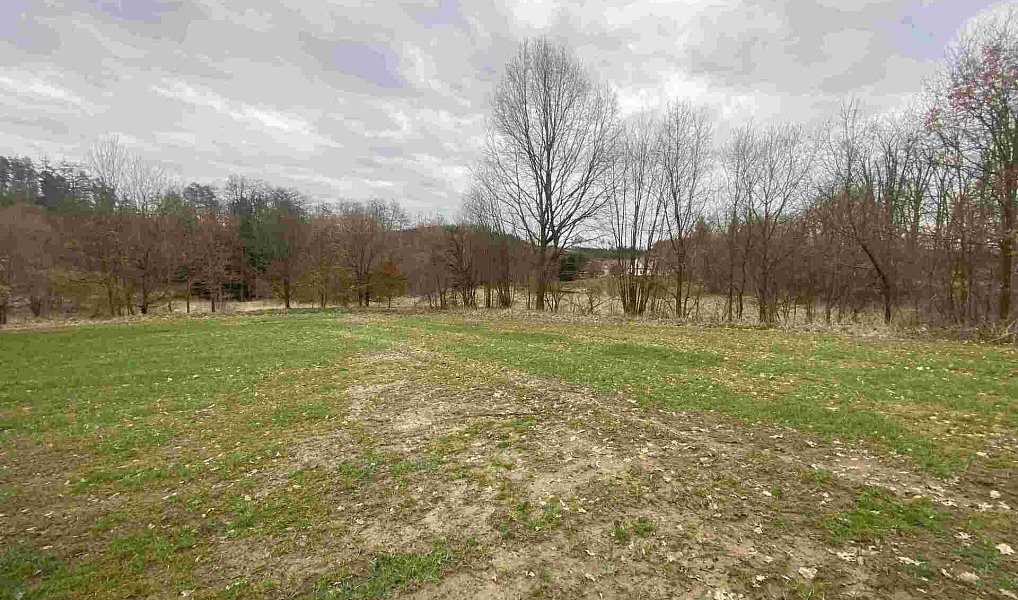 Prodej pozemku 4 837 m², Žinkovy – náhled fotky 4