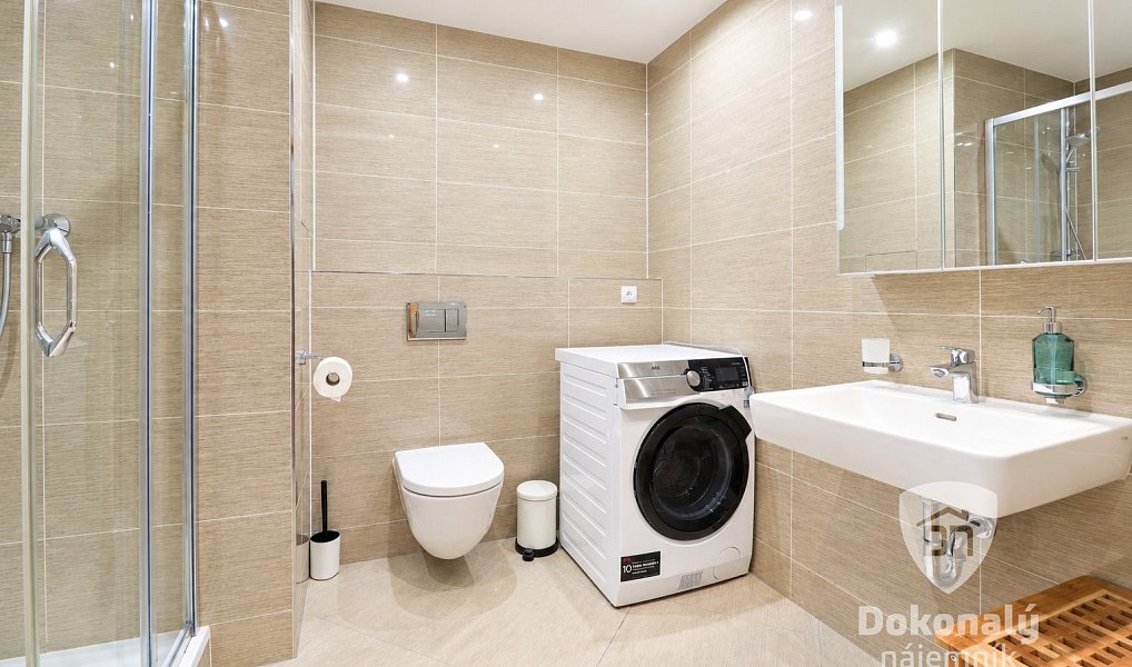 Pronájem bytu 1+1 48 m², Praha – náhled fotky 3