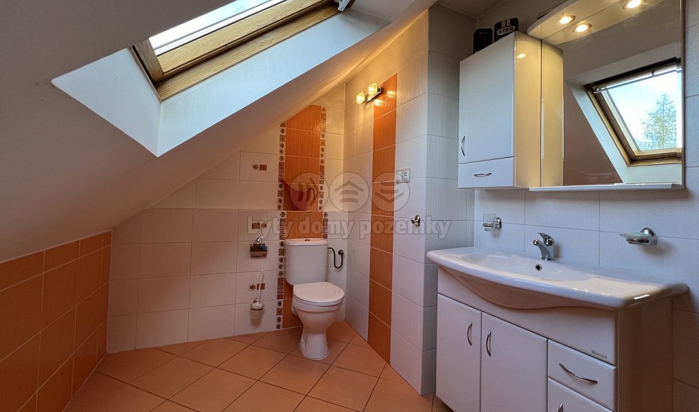 Prodej obchodních prostor 235 m², Orlová – náhled fotky 8
