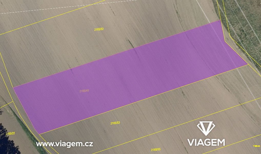 Prodej pole 1 446 m², Vacenovice – náhled fotky 4