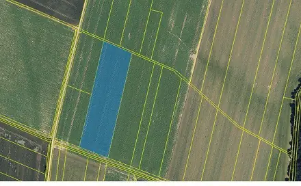 Prodej pole 10 952 m², Senice na Hané - Cakov, okres Olomouc