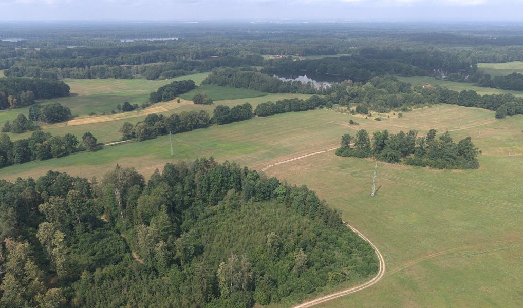 Prodej lesa 360 000 m², Chlum u Třeboně – náhled fotky 10