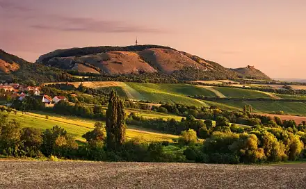 Prodej domu 134 m² s pozemkem 218 m², Pasohlávky, okres Brno-venkov