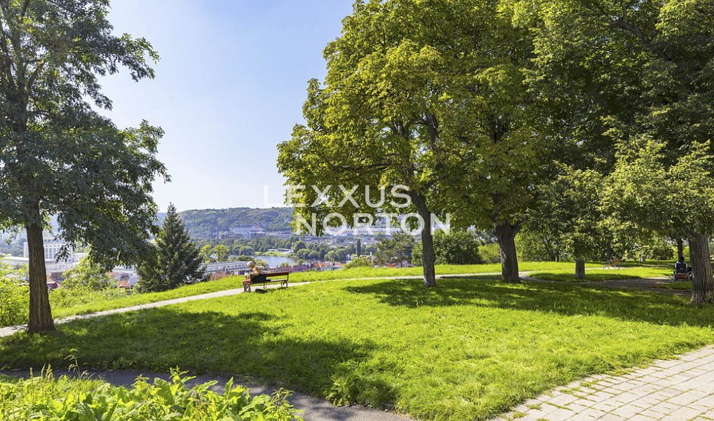 Pronájem bytu 1+kk 27 m², Praha – náhled fotky 14