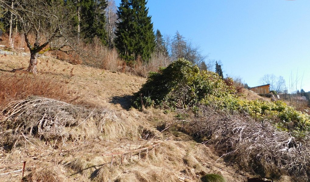 Prodej domu 250 m² s pozemkem 1 221 m², Janov nad Nisou – náhled fotky 27
