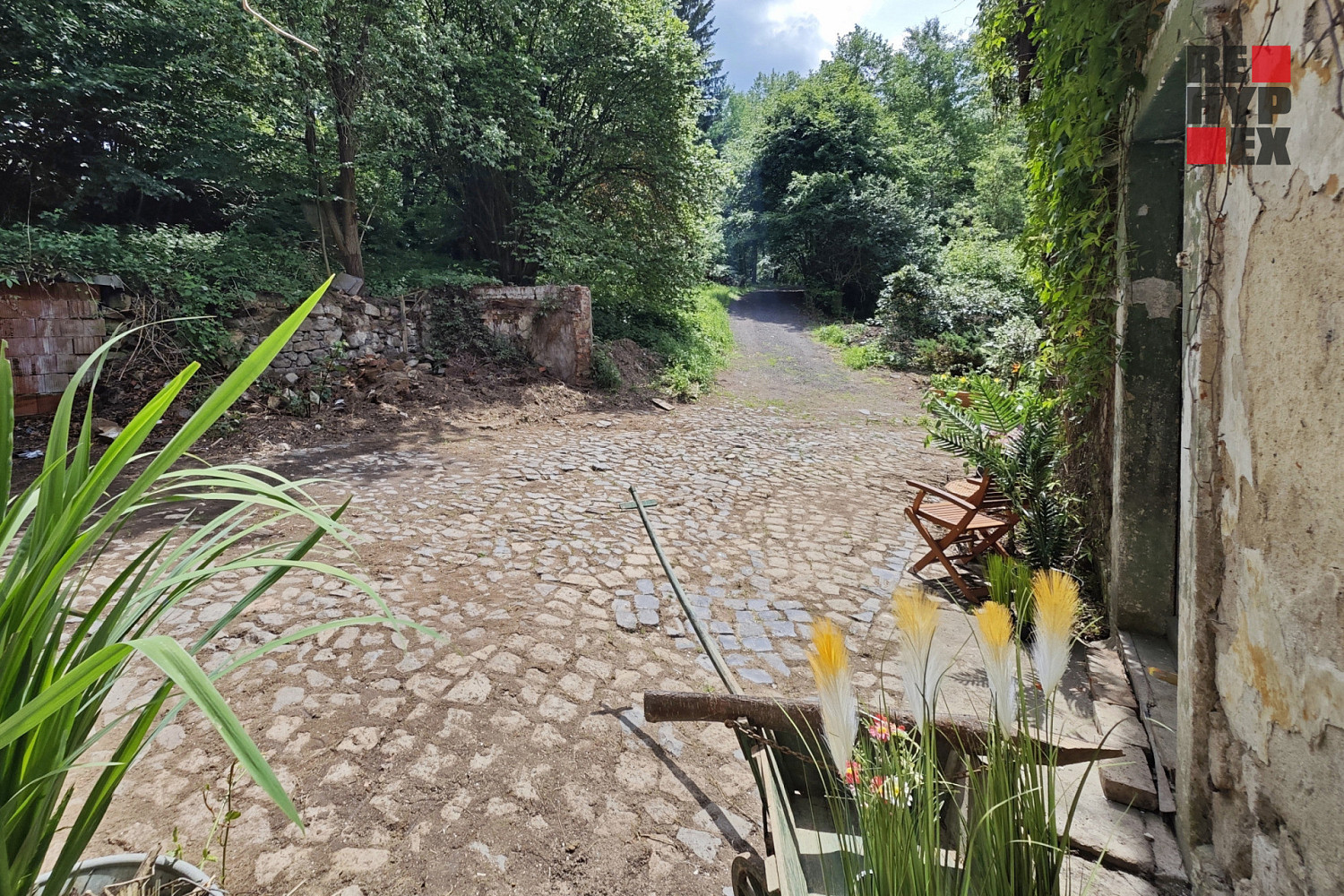 Prodej domu 250 m² s pozemkem 8 711 m² – fotografie 3