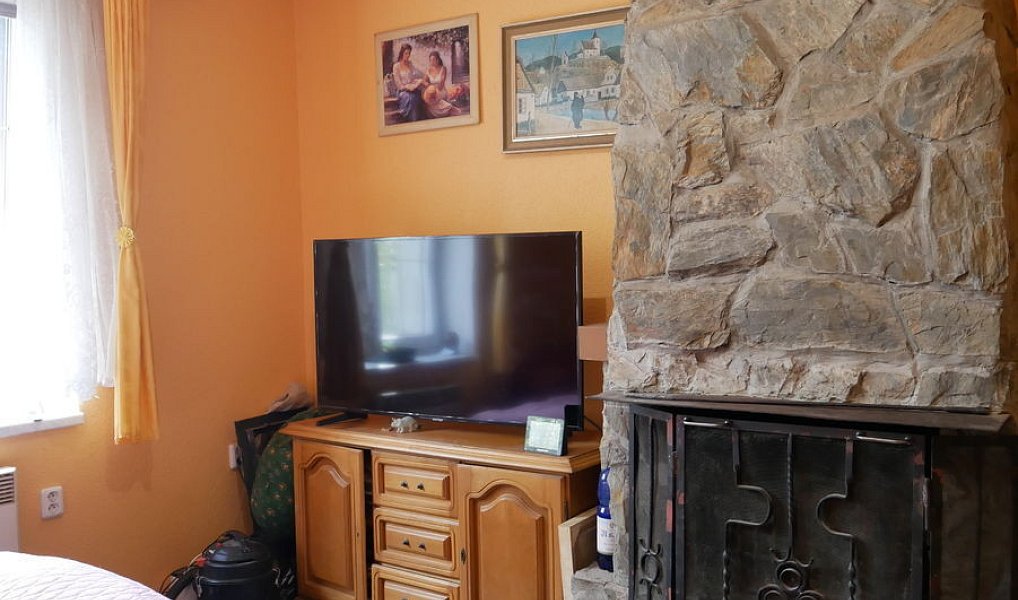 Prodej domu 112 m² s pozemkem 699 m², Plasy – náhled fotky 2