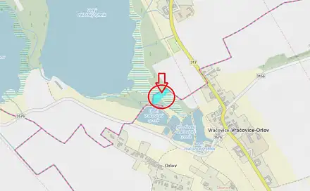 Prodej lesa 2 036 m², Vračovice-Orlov - Nemojany