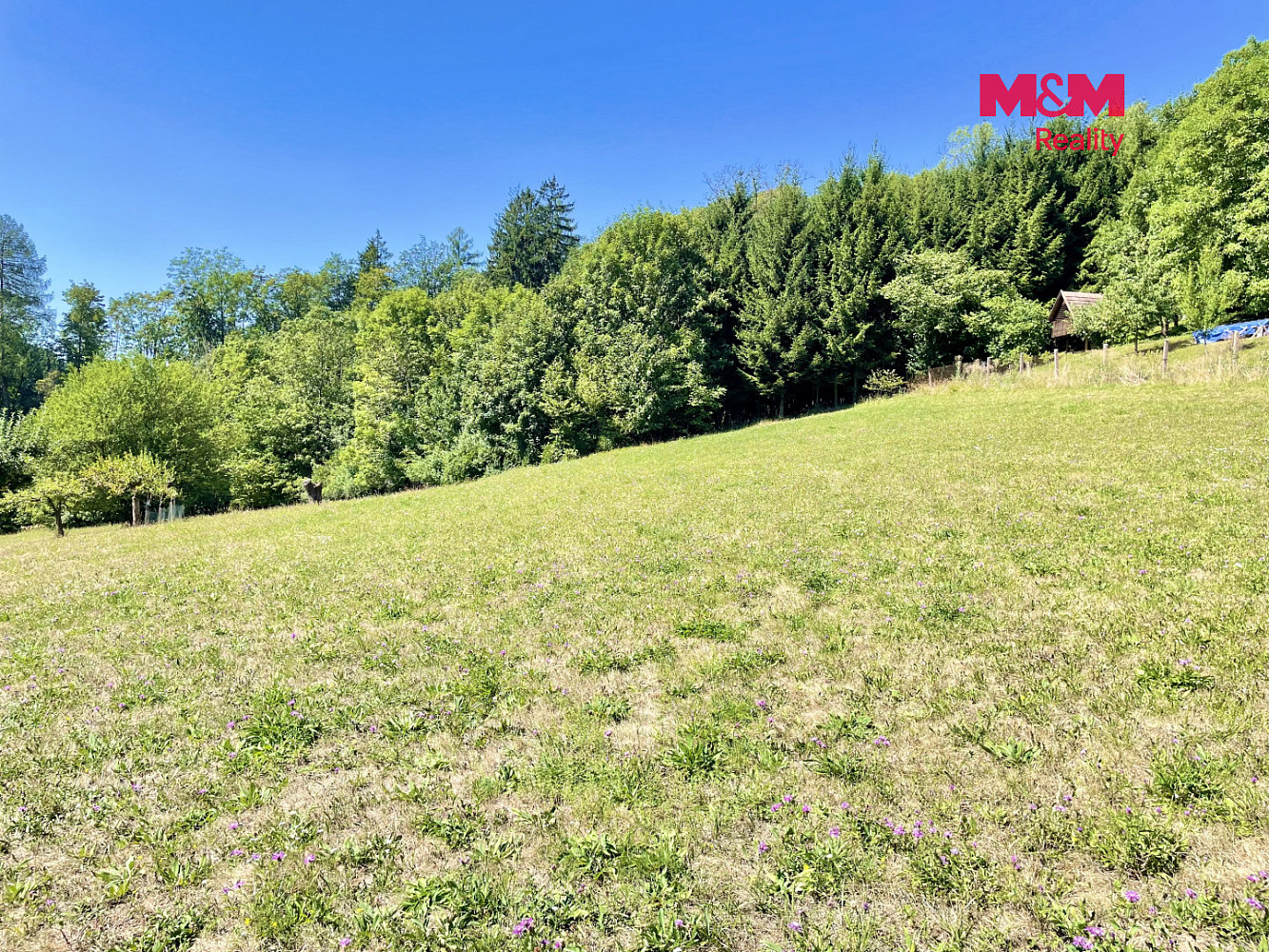 Prodej stavebního pozemku 2 000 m² – fotografie 5