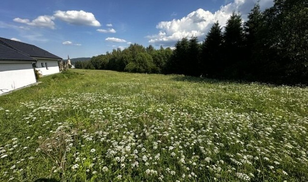 Prodej stavebního pozemku 1 161 m², Přední Výtoň – náhled fotky 6