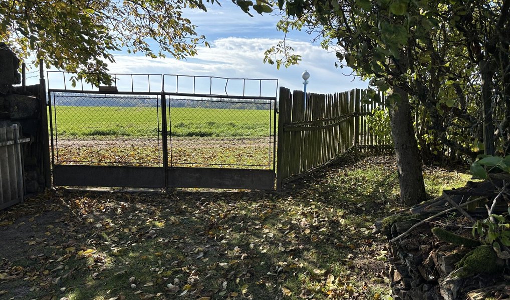 Prodej domu 65 m² s pozemkem 204 m², Myslibořice – náhled fotky 13