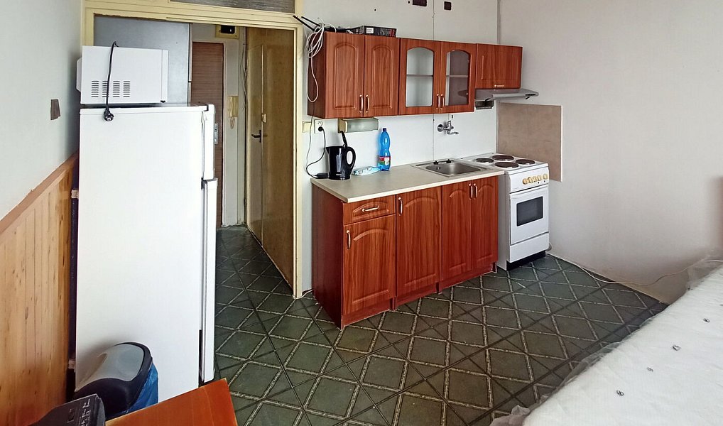 Pronájem bytu 1+kk 17 m², Lubná – náhled fotky 11