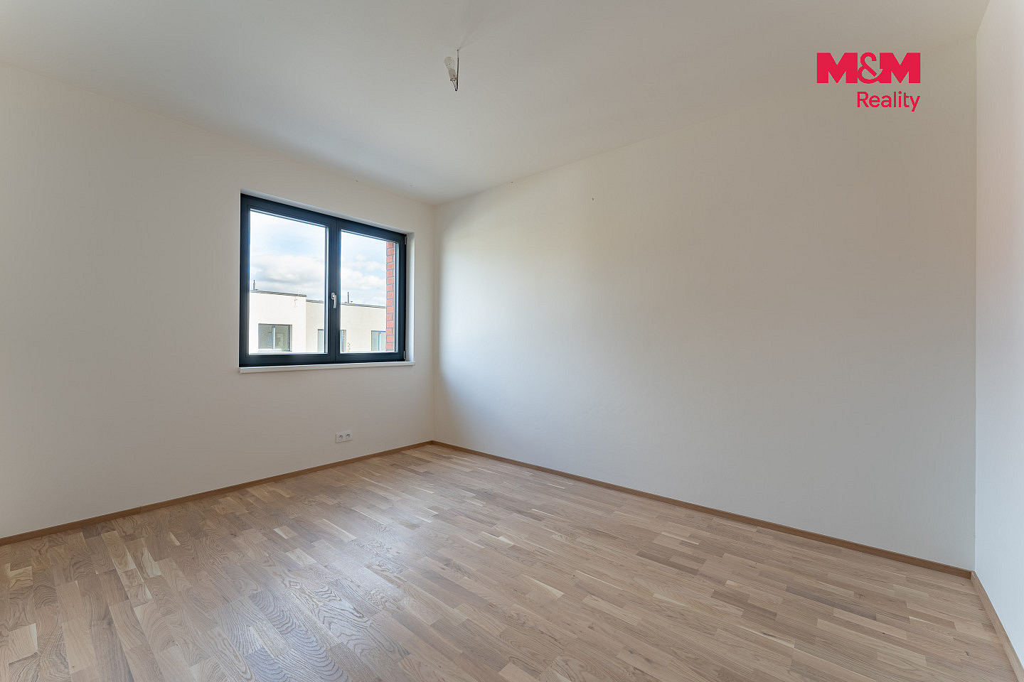 Fotka 11 z 16