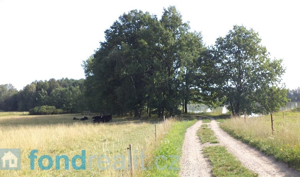 Prodej pozemku 3 240 m², Čejetice – náhled fotky 2