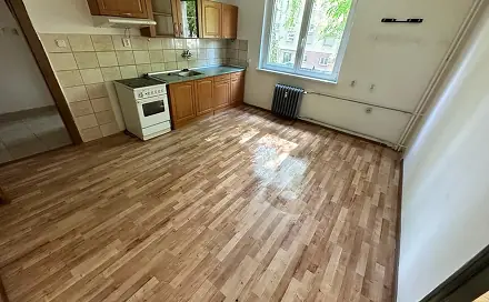 Pronájem bytu 1+1 37 m², Dlouhá, Horní Slavkov, okres Sokolov