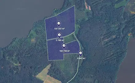 Prodej pozemku 3 732 m², Veselí nad Lužnicí, okres Tábor