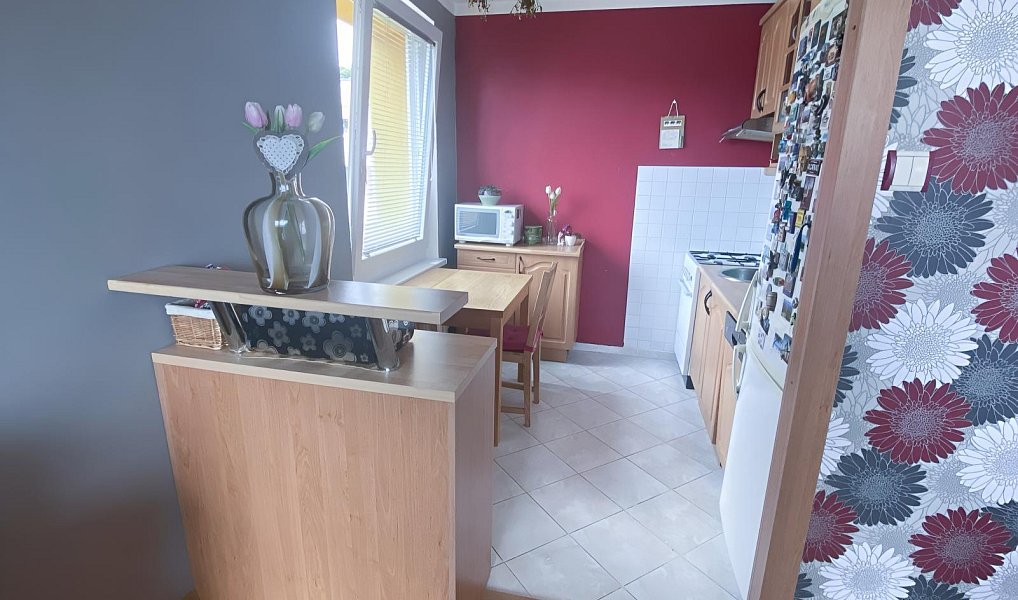 Pronájem bytu 3+1 56 m², Teplice – náhled fotky 3