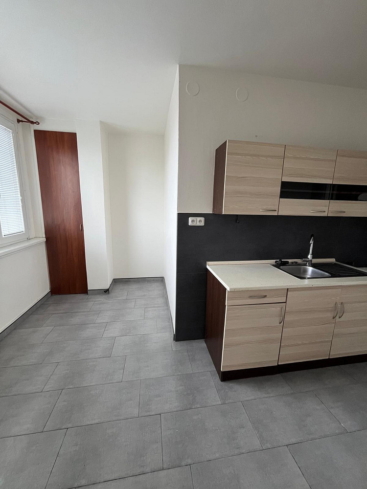 Pronájem bytu 2+1 62 m² - Widok 2
