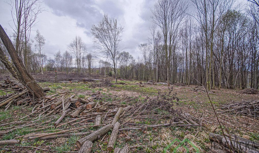 Prodej pole 6 787 m², Mikulovice – náhled fotky 9