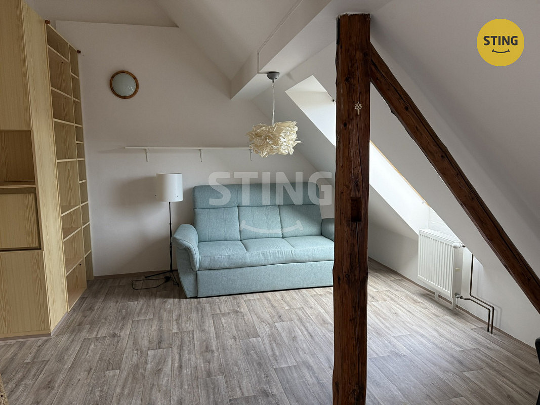 Pronájem bytu 1+kk 52 m² — photo 5