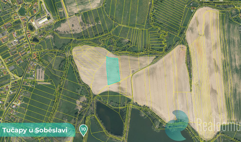 Prodej louky 11 561 m², Tučapy – náhled fotky 5