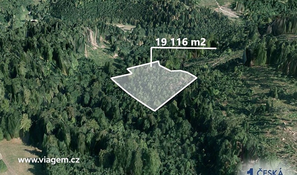 Prodej lesa 19 116 m², Spálov – náhled fotky 2