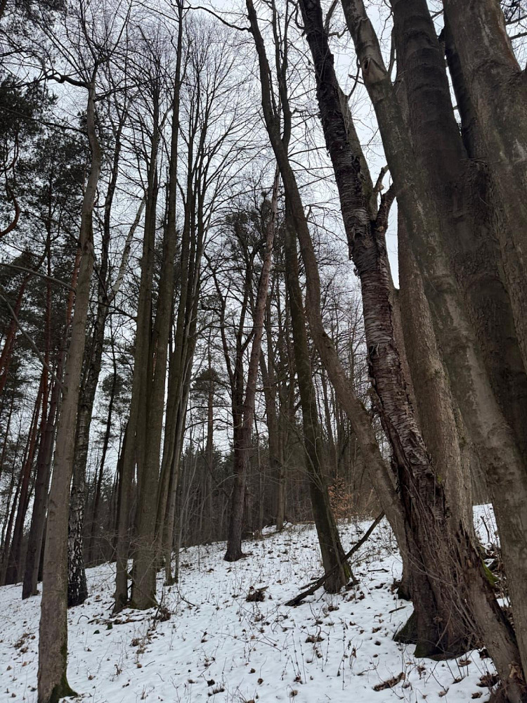 Fotka 6 z 15