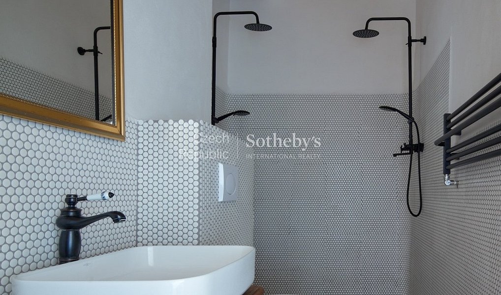 Prodej ubytovacího objektu 380 m², Brzánky – náhled fotky 15
