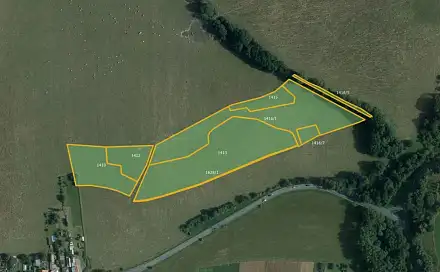 Prodej louky 42 291 m², Seč, okres Chrudim