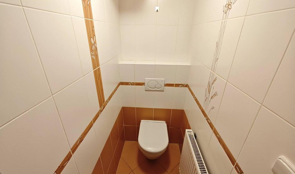 Prodej bytu 1+kk 47 m², Černý Důl – náhled fotky 5
