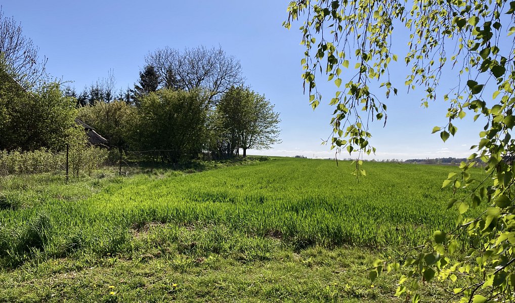 Prodej stavebního pozemku 1 153 m², Rybníček – náhled fotky 2