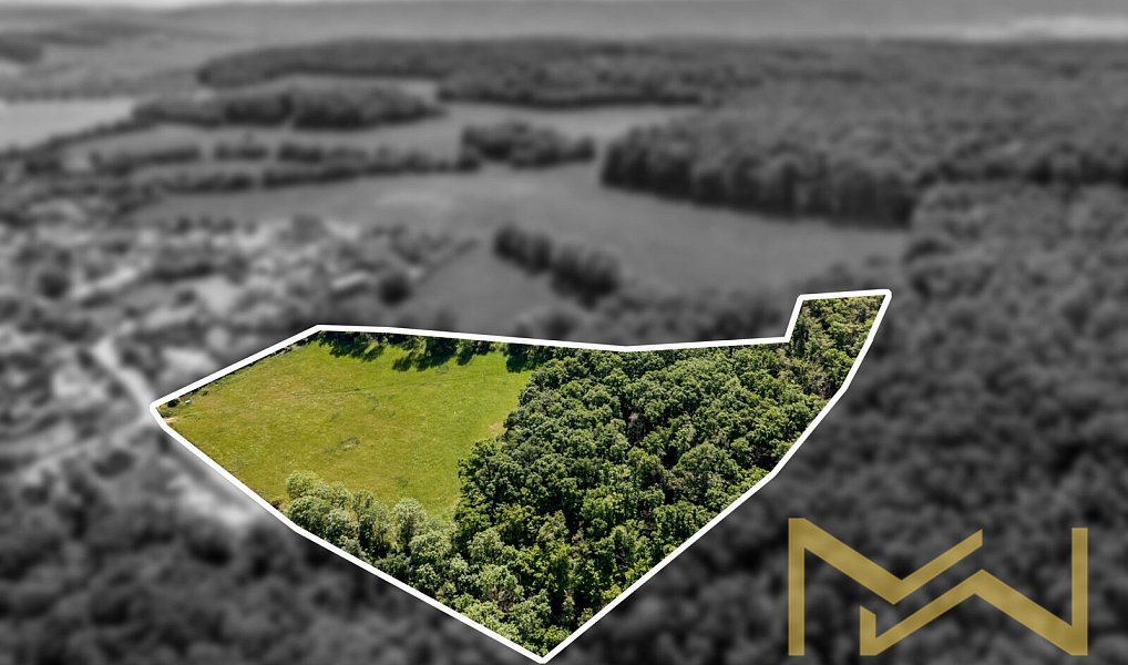 Prodej stavebního pozemku 16 376 m², Mořina – náhled fotky 5