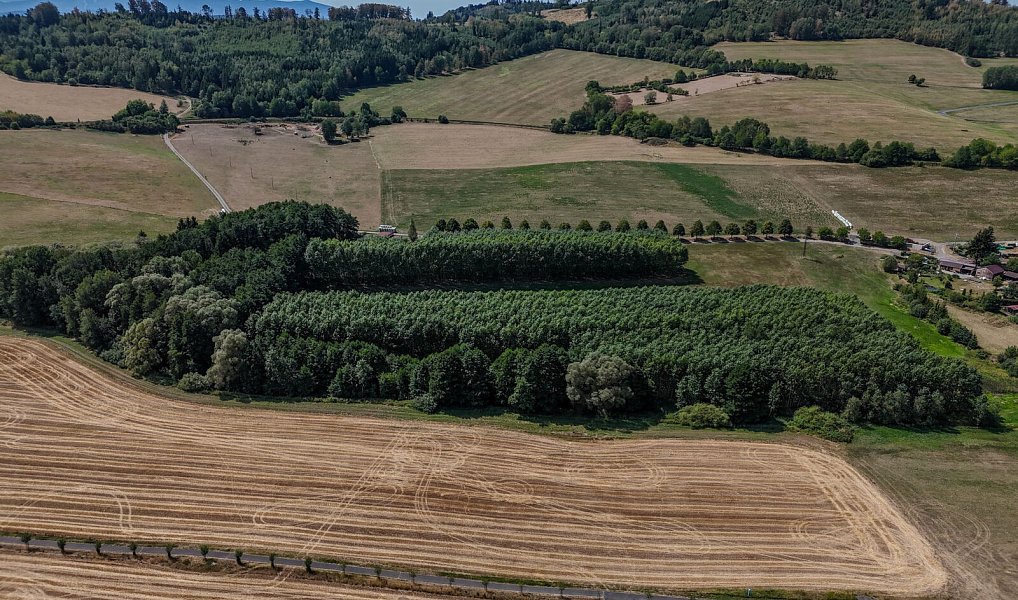 Prodej pole 86 149 m², Brnířov – náhled fotky 5
