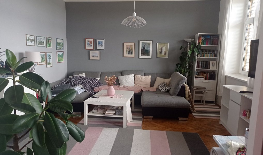 Prodej domu 140 m² s pozemkem 296 m², Klentnice – náhled fotky 4