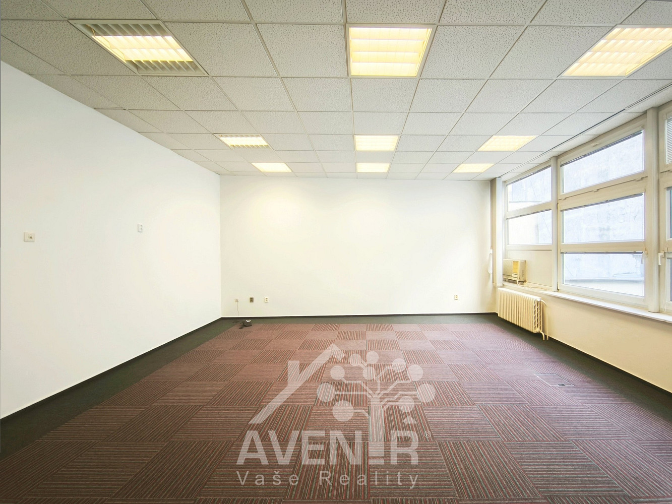 Pronájem kanceláře 45 m² – fotografie 3