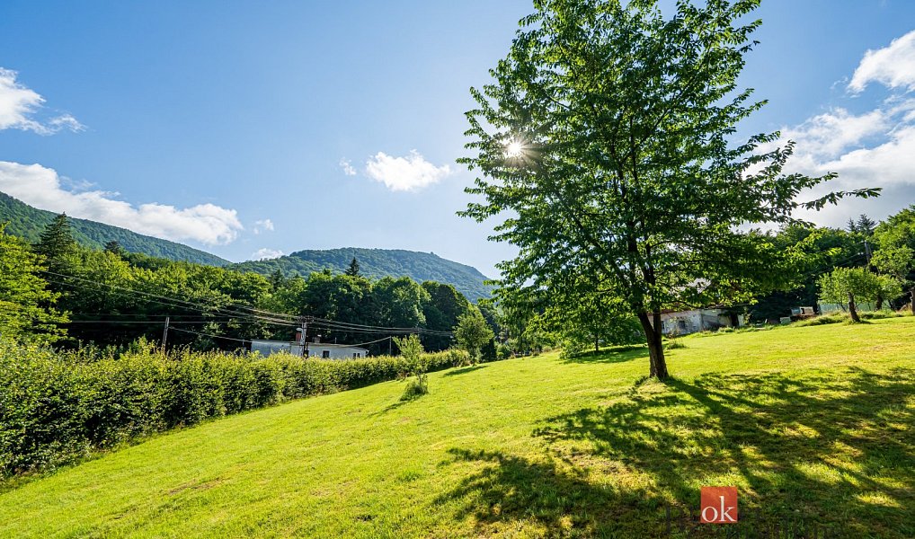 Prodej stavebního pozemku 1 200 m², Bílý Potok – náhled fotky 5