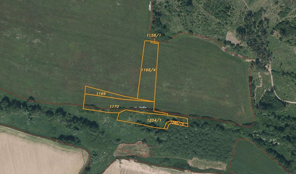 Prodej pole 22 978 m², Rabí – náhled fotky 4